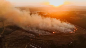 Heatwave Strains SA Farms and Worker Safety Today